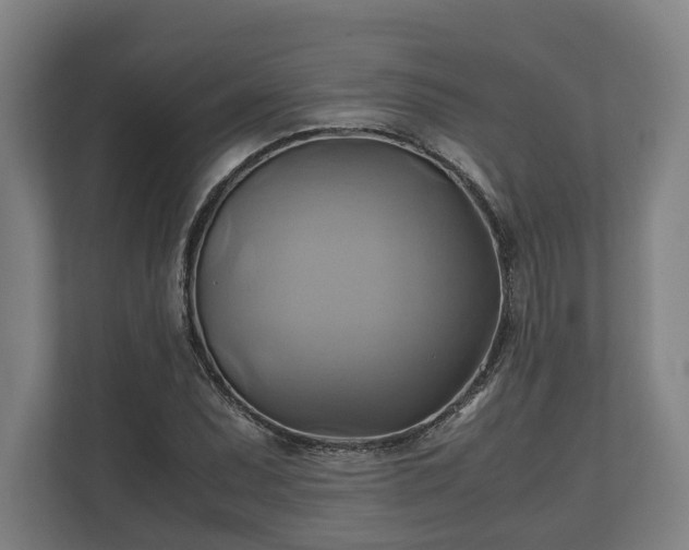 X0000110971071200906261403