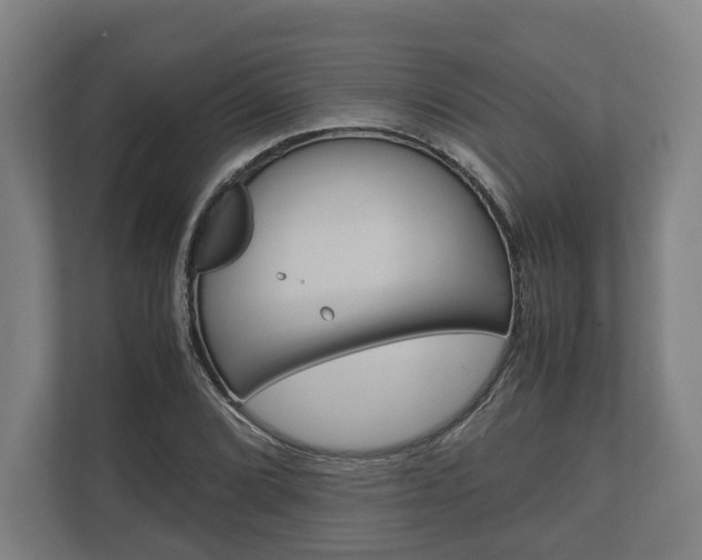 X0000110971072200906261403