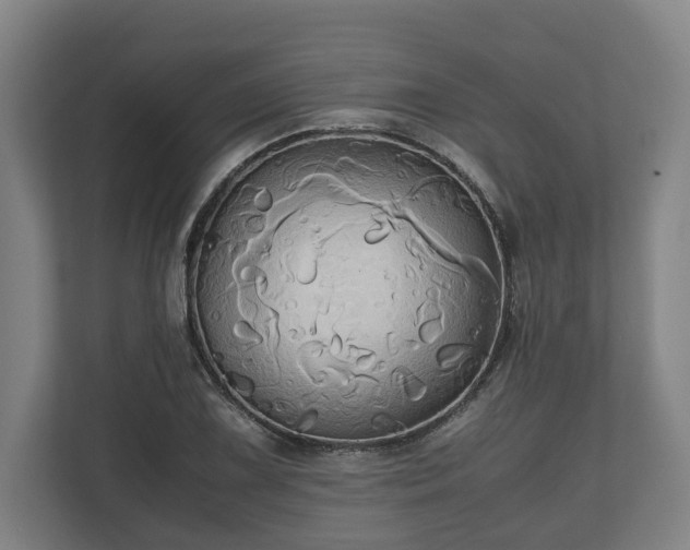 X0000110971075200906261403