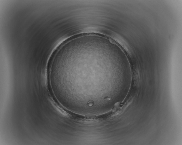 X0000110971076200906261403