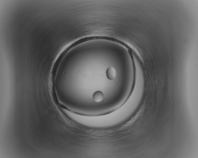 X0000110971077200906261403