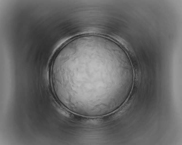 X0000110971078200906261403