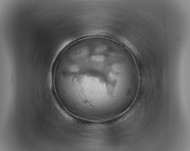 X0000110971079200906261403