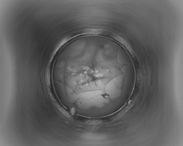 X0000110971083200906261403