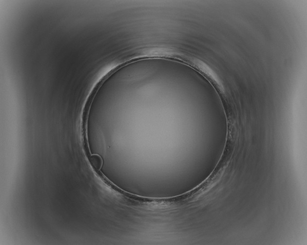 X0000110971087200906261403