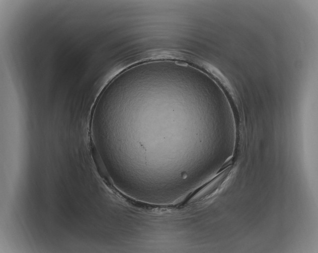 X0000110971089200906261403