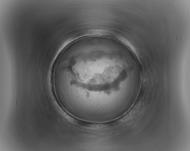 X0000110971091200906261403