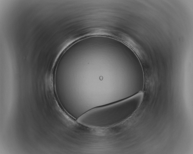 X0000110971092200906261403