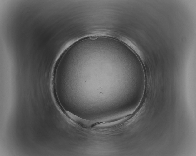 X0000110971093200906261403