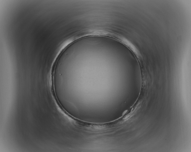 X0000110971095200906261403