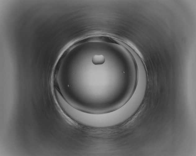 X0000110971098200906261403