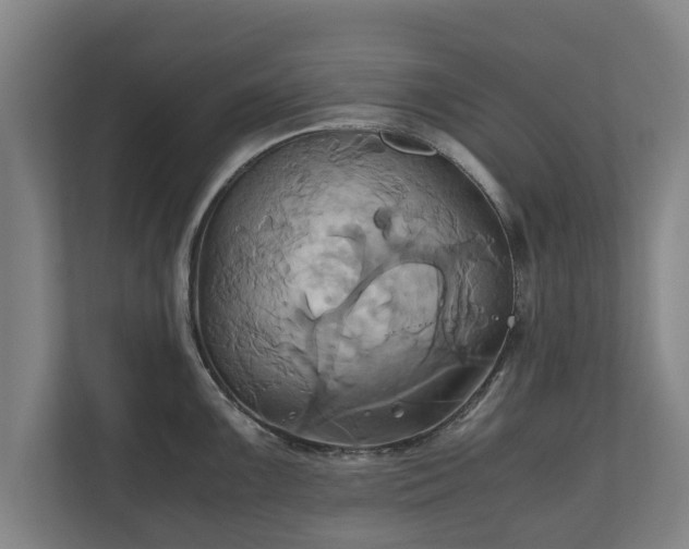 X0000110971099200906261403