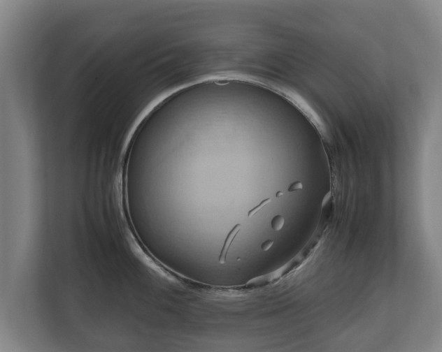 X0000110971100200906261403