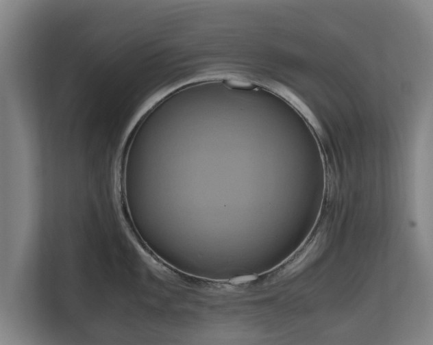 X0000110971101200906261403