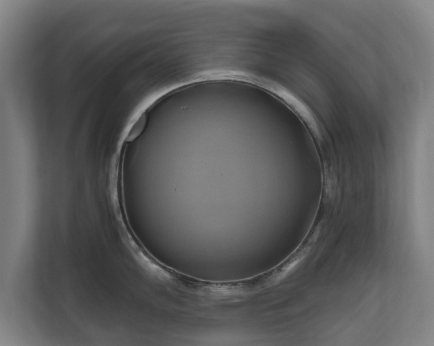 X0000110971102200906261403