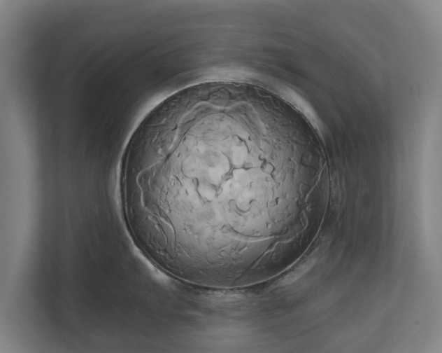 X0000110971103200906261403