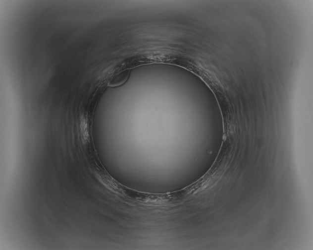 X0000110971106200906261402