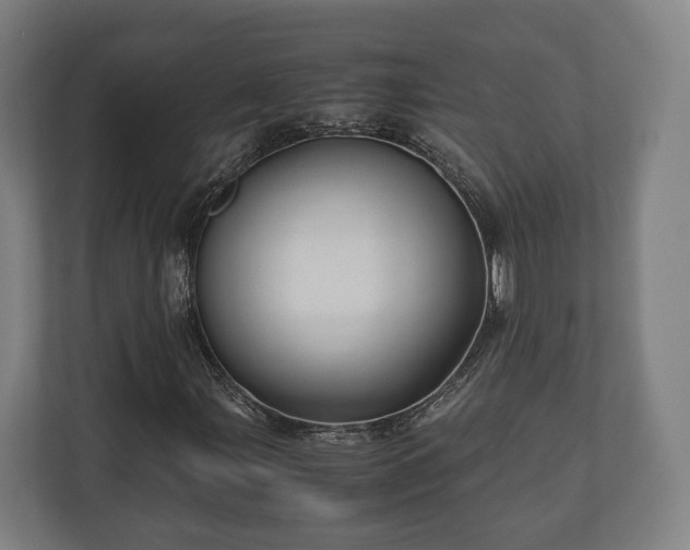 X0000110971107200906261402