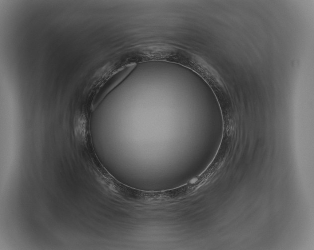 X0000110971108200906261402