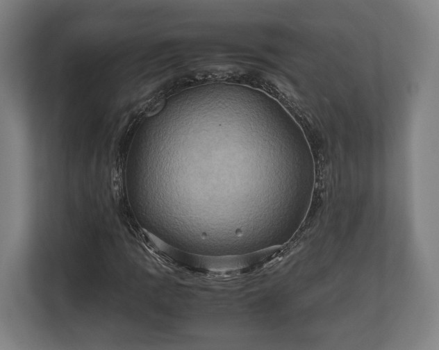 X0000110971109200906261402