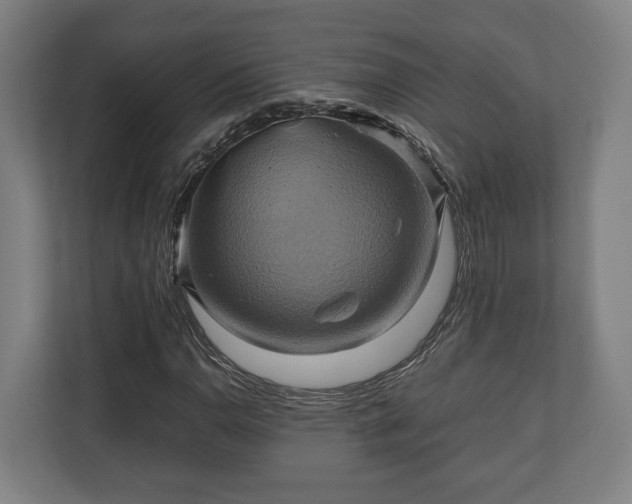 X0000110971110200906261402