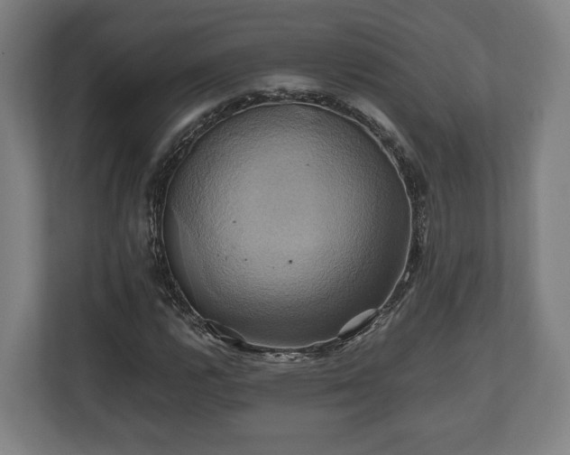 X0000110971112200906261402