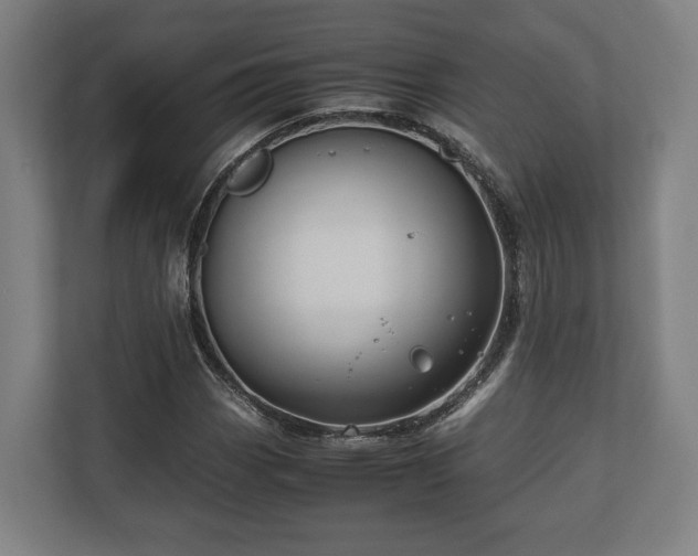 X0000110971113200906261402