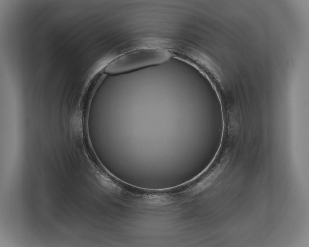 X0000110971114200906261402