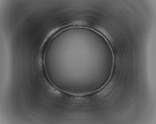 X0000110971115200906261402