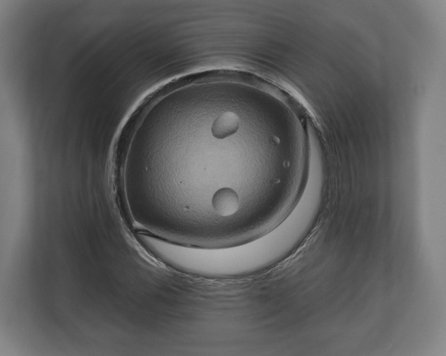 X0000110971116200906261402