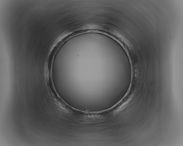 X0000110971117200906261402