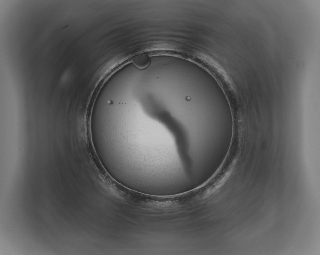 X0000110971121200906261402