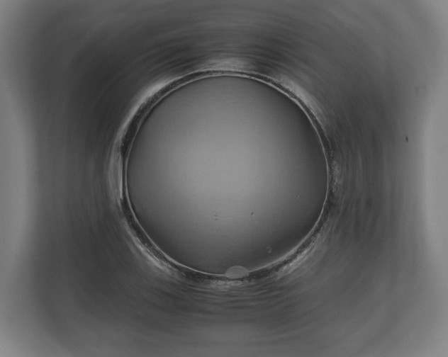 X0000110971123200906261402