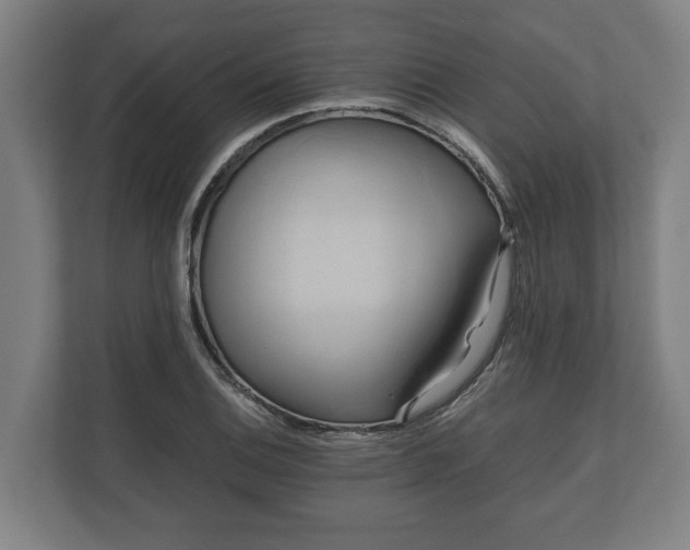 X0000110971124200906261402