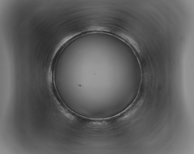 X0000110971125200906261402