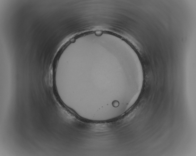 X0000110971126200906261402