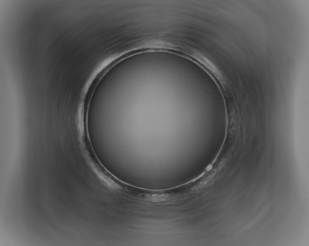 X0000110971128200906261402