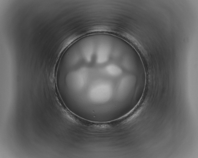 X0000110971129200906261402