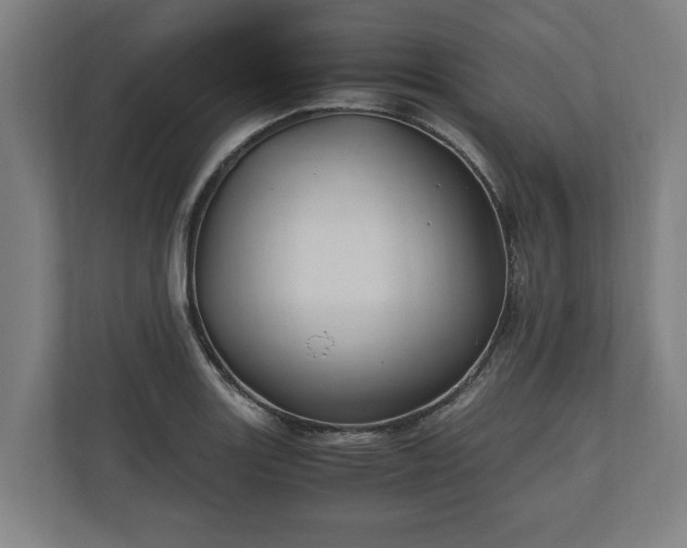 X0000110971131200906261403