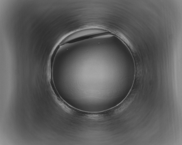 X0000110971132200906261403