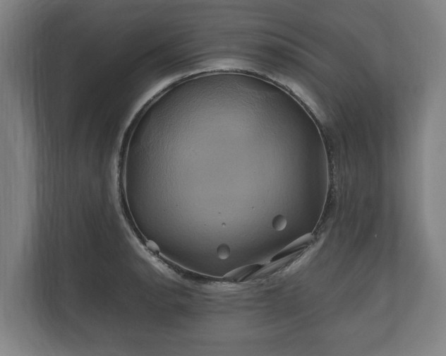 X0000110971134200906261403