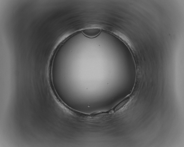 X0000110971135200906261403