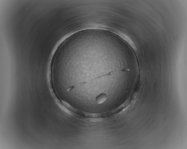 X0000110971136200906261403