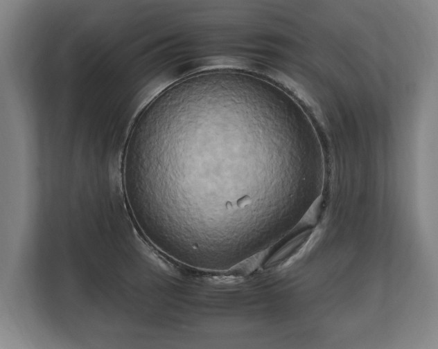 X0000110971137200906261403