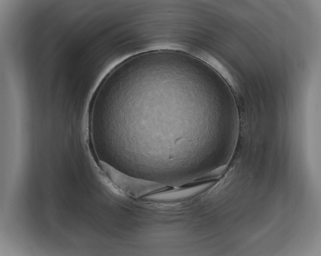 X0000110971140200906261403