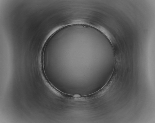 X0000110971142200906261403