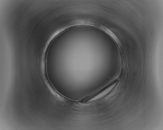 X0000110971144200906261403