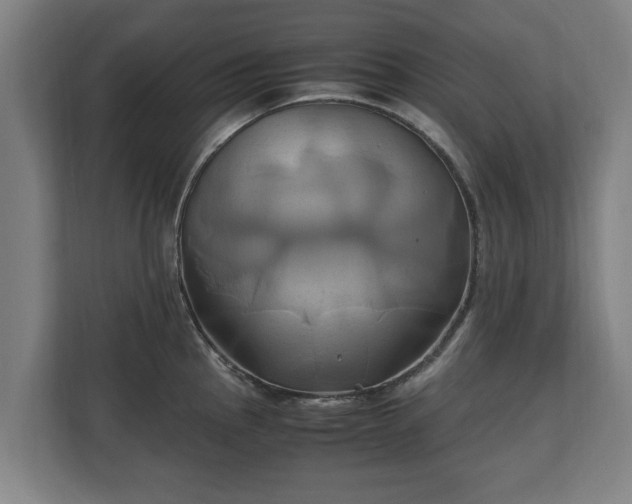 X0000110971145200906261403