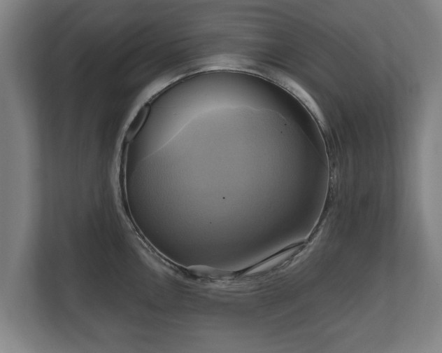 X0000110971146200906261403