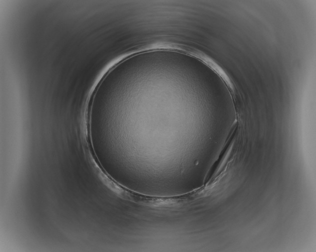 X0000110971148200906261403